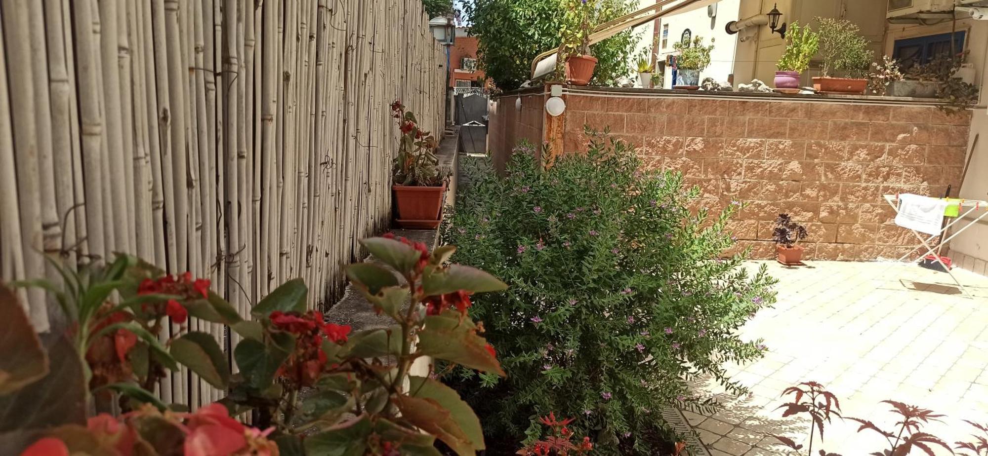 Apartamento La Farfalla Roma Exterior foto